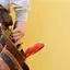 Handyman repair service in Los Angeles, CA for home fixes and improvements