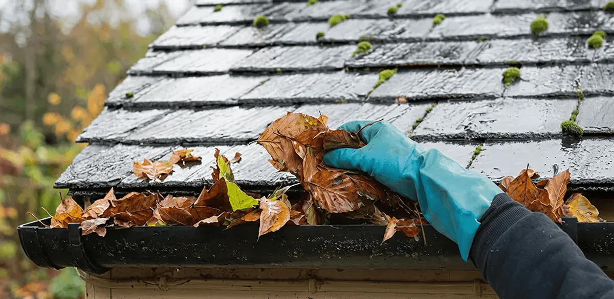 Gutter cleaning technician clearing wet leaves from roof gutters in Los Angeles, CA